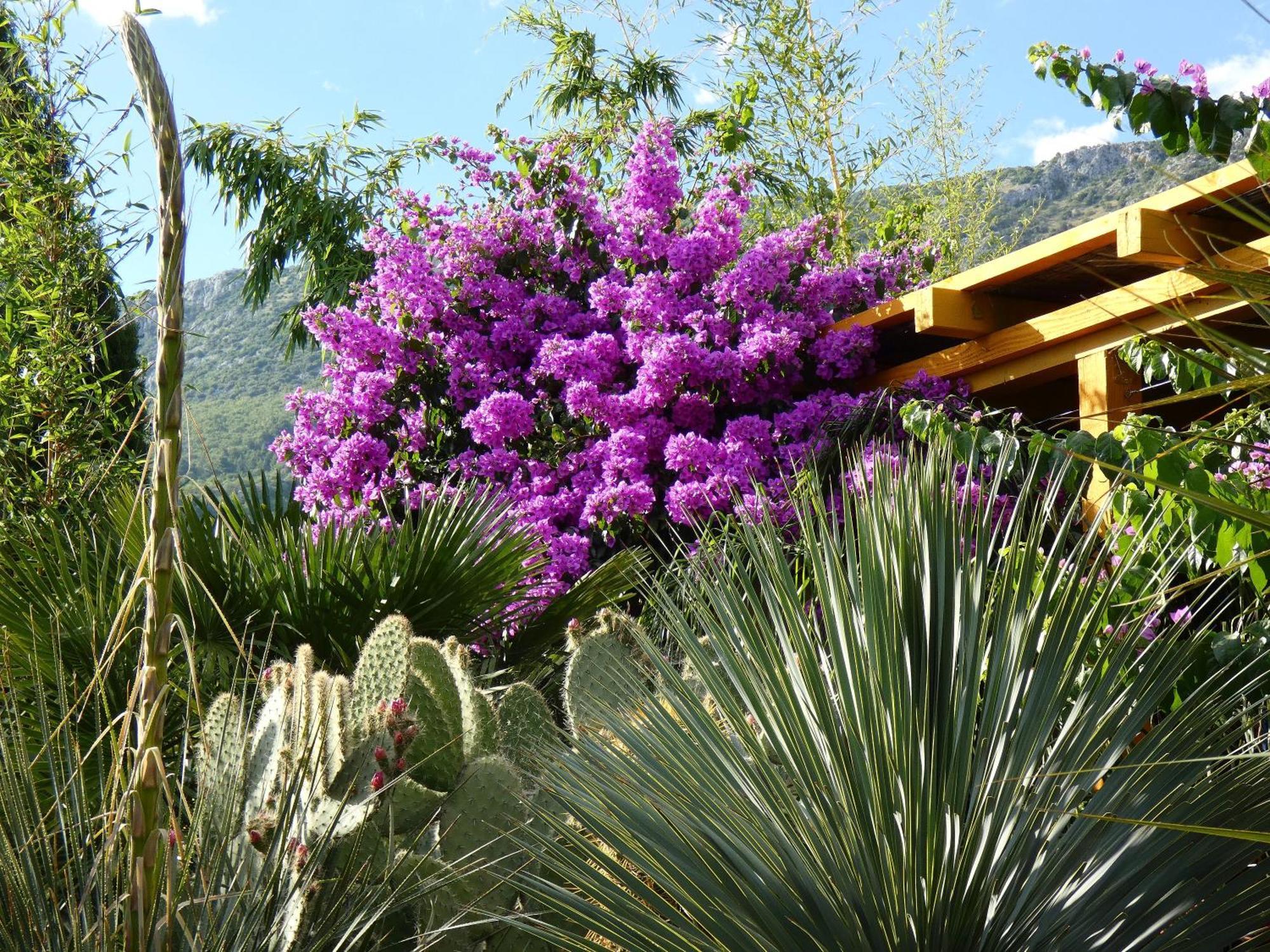 Villa Tropica, Total Privacy, Tropical Garden And Private Pool Kastela Exterior photo